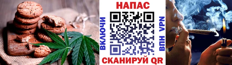 блэк спрут вход  Чаплыгин  Cannafood конопля 