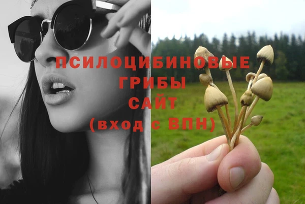 хмурый Баксан
