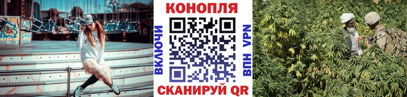 Шишки марихуана марихуана  Чаплыгин 